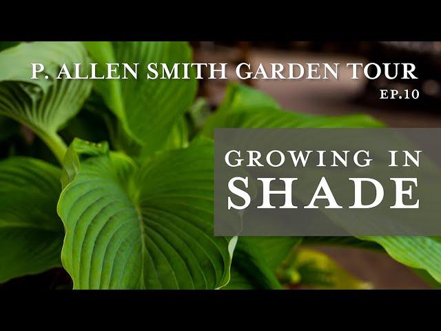 Growing in Shade |  Garden Tour of Prather House: P. Allen Smith (2019)