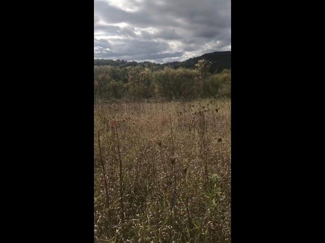 Site of Future Equestrian Campground at Governor Dodge State Park