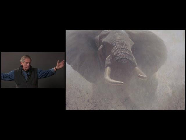 #80 -  Tembo by Robert Bateman