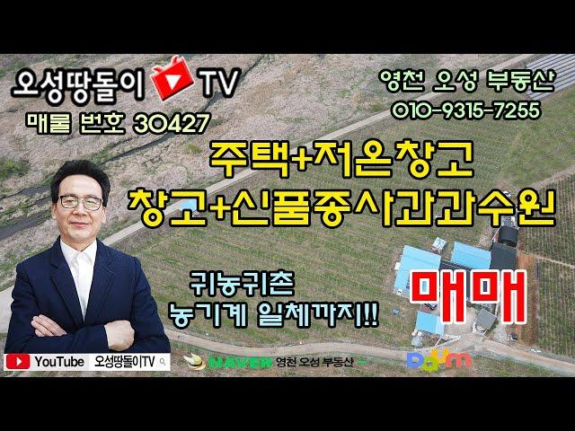 주택+저온창고+창고+신품종사과과수원 농기계일체까지!!  귀농귀촌하실분- 영천땅매매,영천토지매매,영천부동산매매