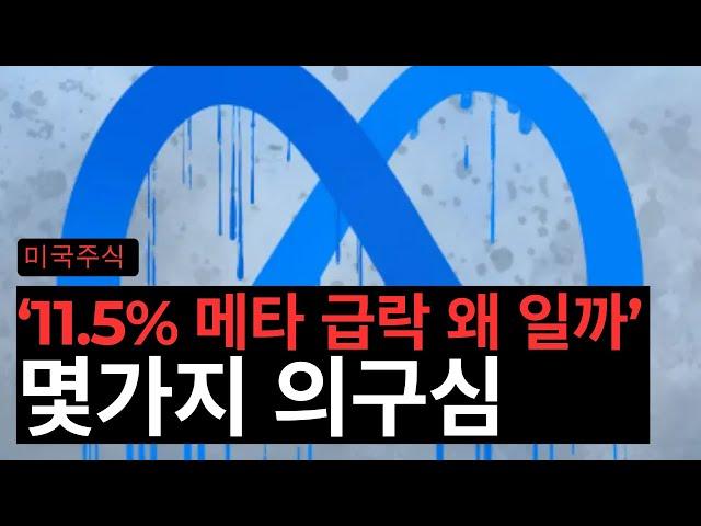 메타 11% 급락에 대한 몇가지 의구심 (메타)