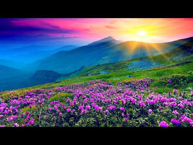 Сборник красивой инструментальной музыки для души /The Best music