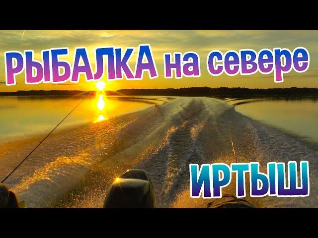 РЫБАЛКА НА СЕВЕРЕ - ИРТЫШ