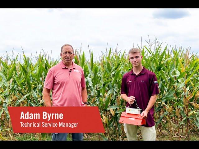 FMC Tech Talk: Monitoring for Corn Earworm With Arc™ Farm Intelligence