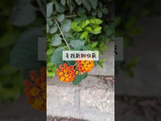 扎心语录  #正能量 #激励助手 #鼓励 #人生感悟