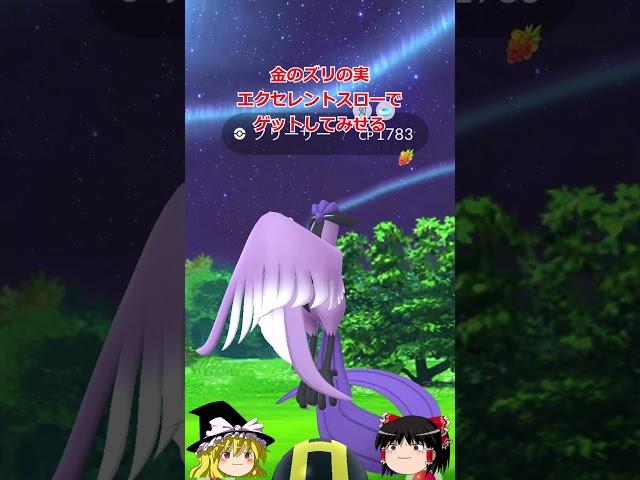 【ポケモンGO】44度目の正直‼️ガラル３鳥ゲット⁉️（ガラル三鳥 チャレンジ 44回目）#shorts