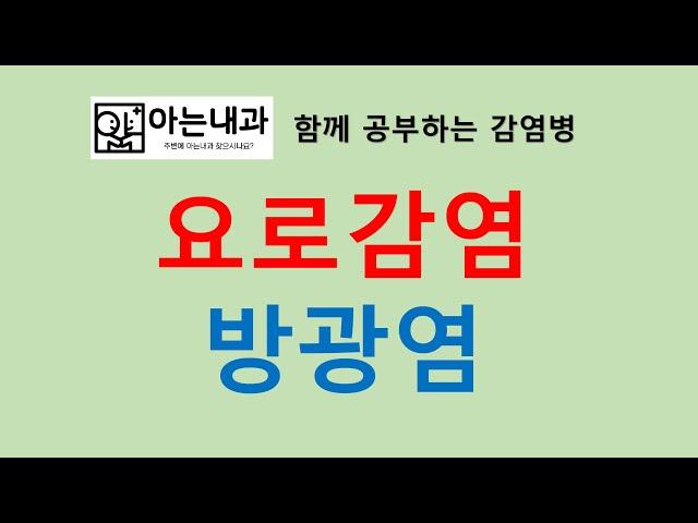 #31 방광염(feat. 항생제 한 번 먹고 치료 끝!)