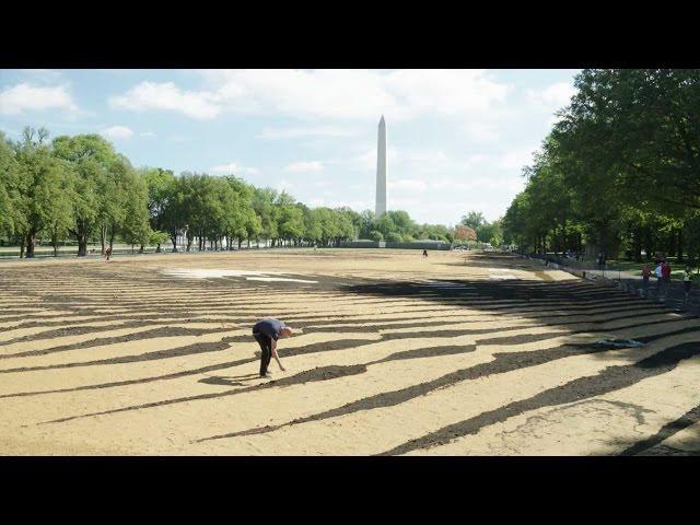Creating "Out of Many, One" by Jorge Rodríguez-Gerada