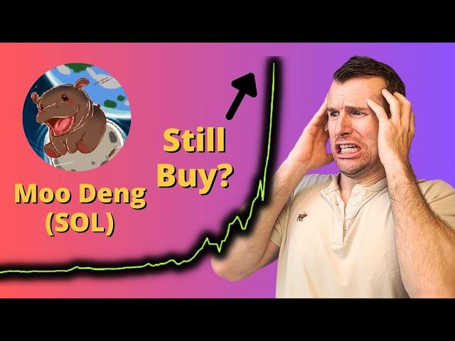 Still Buy The Moo Deng Rally?  Moodeng Crypto Token Analysis