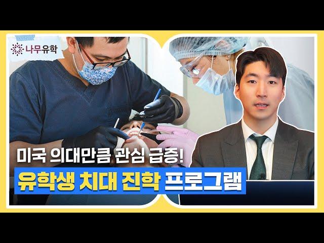 유학생이 미국 치대에 진학하는 2가지 방법ㅣ4+4와 7year 프로그램