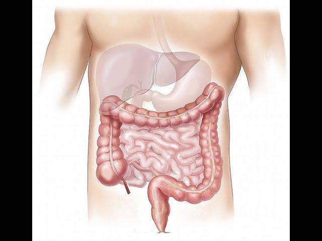 Choroby żołądka i jelit - nie wykrywa ich kolonoskopia ani gastroskopia. Poproś lekarza o wycinek