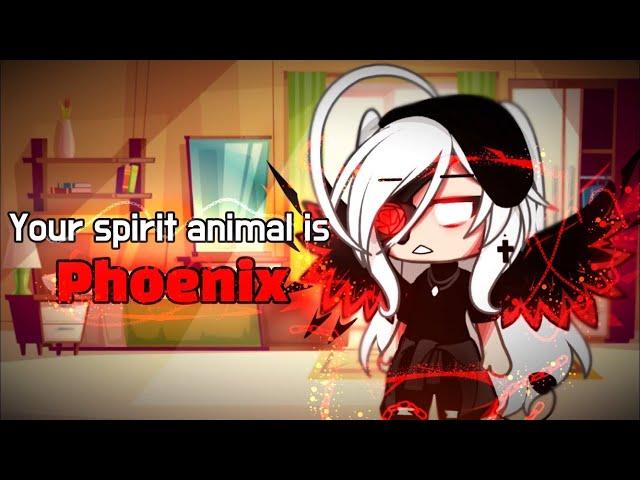 ️ Phoenix  || meme || gacha life || 가챠라이프 {Original Concept?}