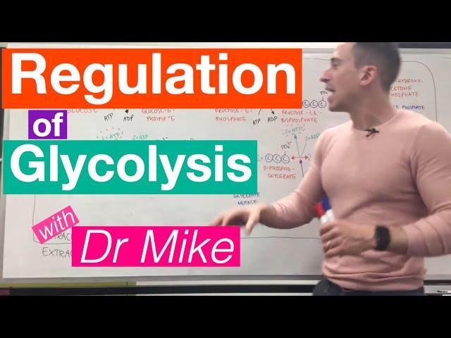 Glycolysis | Metabolism