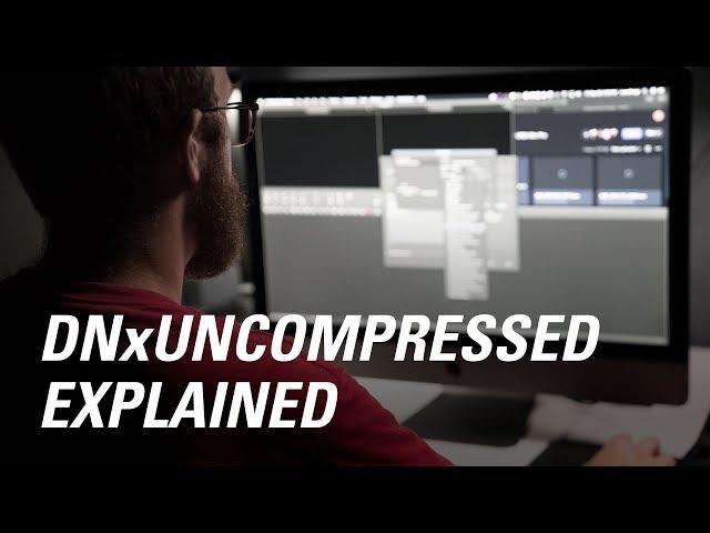 Avid DNxUncompressed Explained