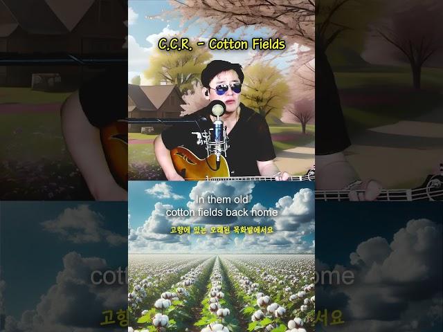 C.C.R. - Cotton Fields [가사해석]