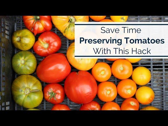 Save time preserving your tomatoes with this quick hack!