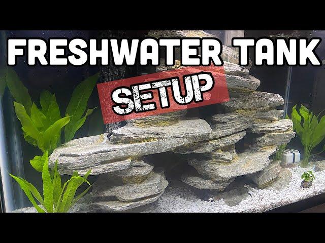 Beginners Guide to an Aquarium Set-Up (Step-By-Step)