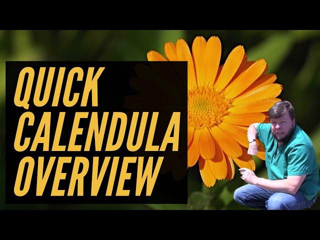 Calendula - 2 Minute Overview!