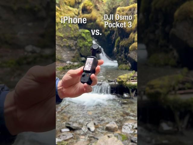 iPhone vs. DJI Osmo Pocket 3: 4K/60fps HDR Video Showdown  #osmopocket3