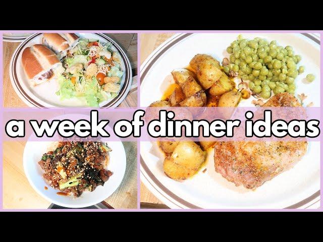 SIMPLE WEEK NIGHT DINNERS MY FAMILY LOVES | What’s For Dinner? #355 | 1-WEEK OF REAL LIFE MEALS