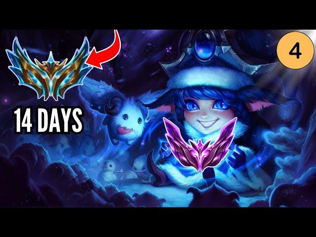 LULU to CHALLENGER!? - Educational 14 Days to CHALLENGER - Day 4 - December Event !event