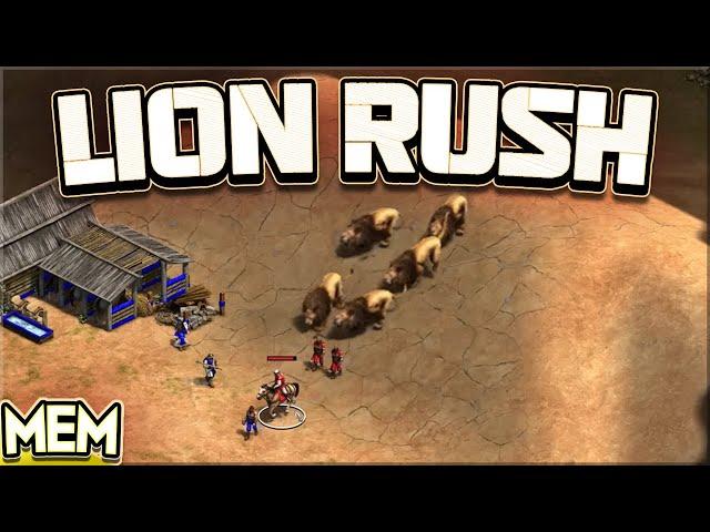 The Lion Rush