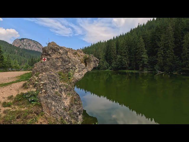 Lacul Rosu, Harghita, Romania, 4K