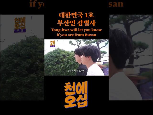 대한민국 1호 부산인 감별사