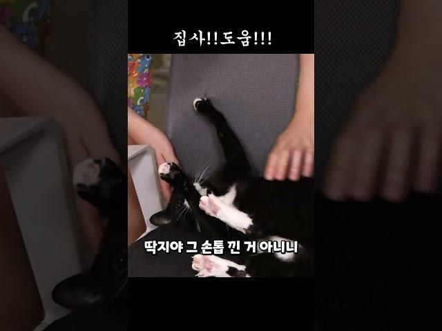 집사!!도움!!!