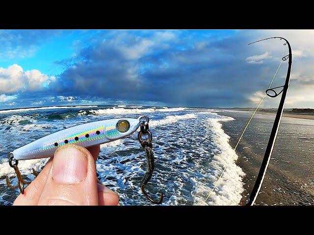 Shore Jigging beach gutters (catch & Clean)