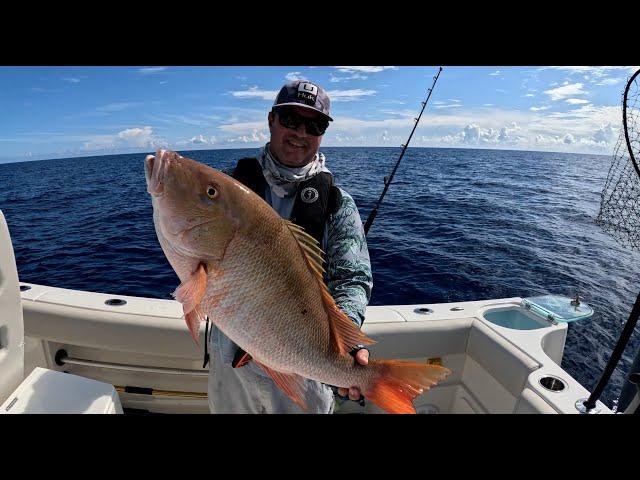 3 Hours of Eating Whatever I Catch  - Florida Saltwater Offshore Edition