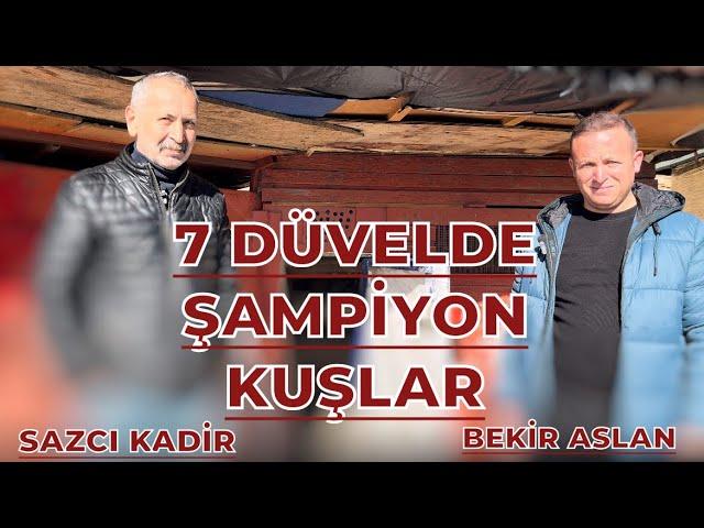 7 DÜVELDE ŞAMPİYON KUŞLAR - SAZCI KADİR & BEKİR ASLAN KÜMES ZİYARETİ OYUNKUŞU UÇUMU