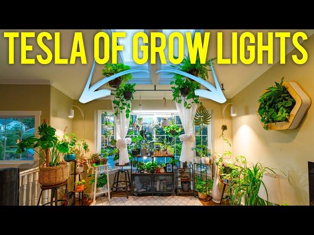 THESE Are The Best Grow Lights for Indoor Plants Made in America!