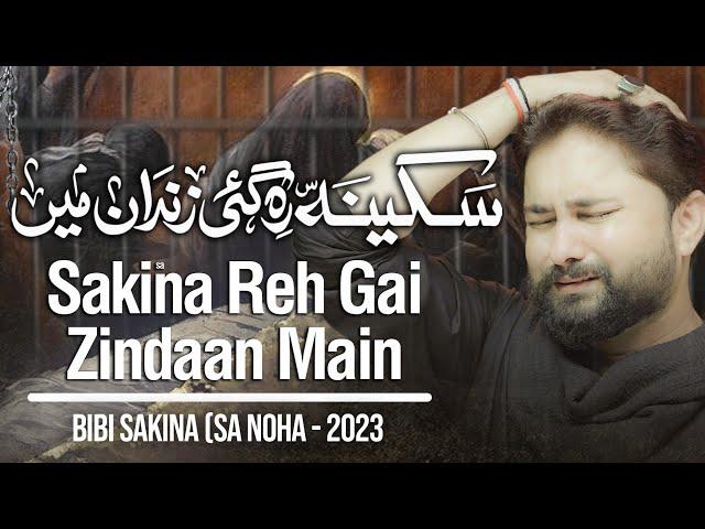 Nohay 2023 | Sakina Reh Gai Zindaan Main | Syed Raza Abbas Zaidi | Muharram 1445 | Bibi Sakina Noha