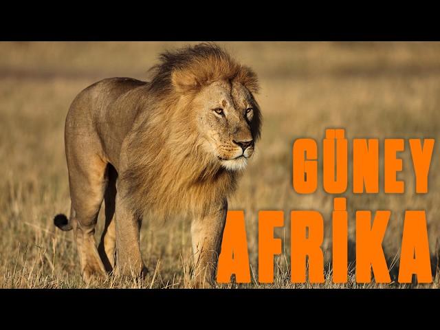 SOUTH AFRICA'S WILD NATURE | Full Episode Documentary