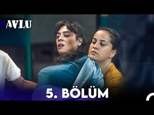 Avlu 5. Bölüm