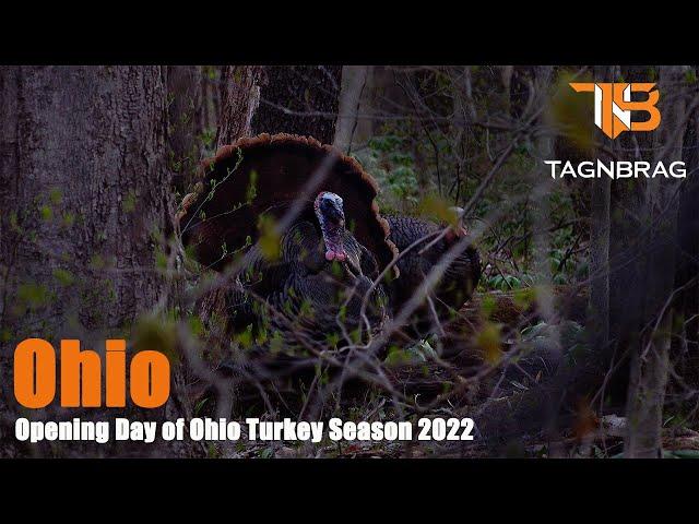 Opening Day of Ohio Turkey season 2022