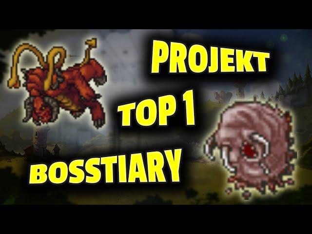 Tibia - Projekt TOP 1 w Bosstiary - Podsumowanie #4