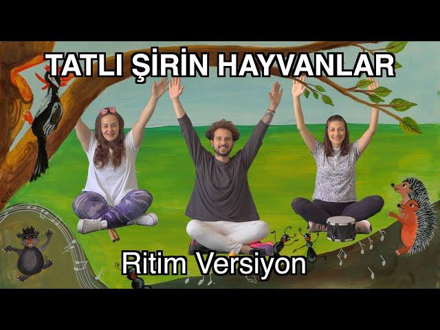 Bam Bam Tam - TATLI ŞİRİN HAYVANLAR (RİTİM VERSİYONU) / Eğlenceli Çocuk Şarkıları / RİTİM ÇALIŞMASI
