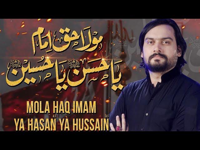 Mola Haq Imam Ya Hasan Ya Hussain | SM Zeeshan Haider #AliParast | Noha Moharram 2024