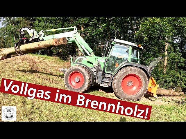 Vollgas im Brennholz! Es geht weiter mit dem Fendt 312 Vario Kraftpaket