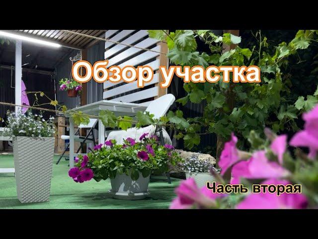 Продажа дома. Часть вторая. Благоустройство участка