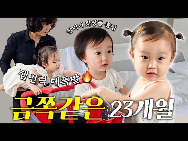 금쪽력 만렙찍은 박채유의 엄빠없는 3박 4일 (그리고 얻어낸 자유부부️)