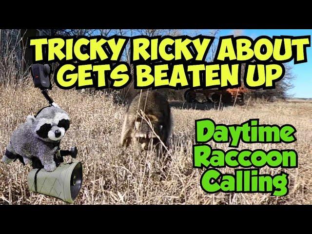 The Most Insane Raccoon Hunt EVER!