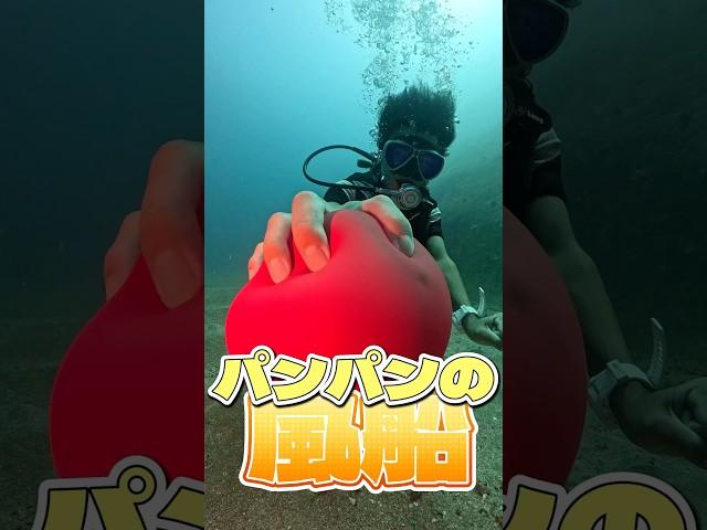 海に膨らんだ風船持ってった！ #diving #ケロリーメイト #underwater #風船