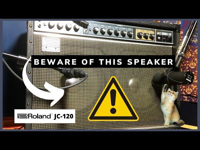 Roland Jazz Chorus JC-120 in Depth | Recording Tips & Tricks  Stereo Mono Miking Test | jumping EQs