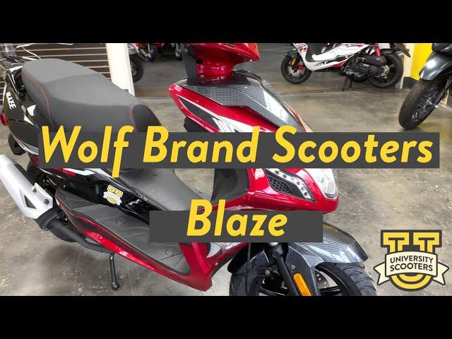 Wolf Blaze Highlights | 50cc Scoot at University Scooters