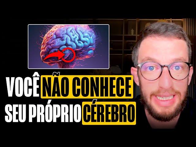 NEUROCIENTISTA EXPLICA O CÉREBRO HUMANO