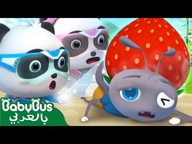 شركة نقل ضائعة | فريق الانقاذ الخارق | كرتون الاطفال | كيكي وميوميو | بيبي باص | BabyBus Arabic