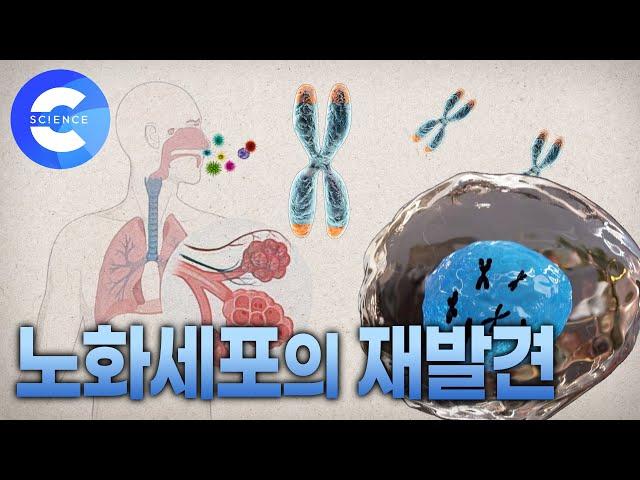 노화세포의 놀라운 재발견 | 지식채널e